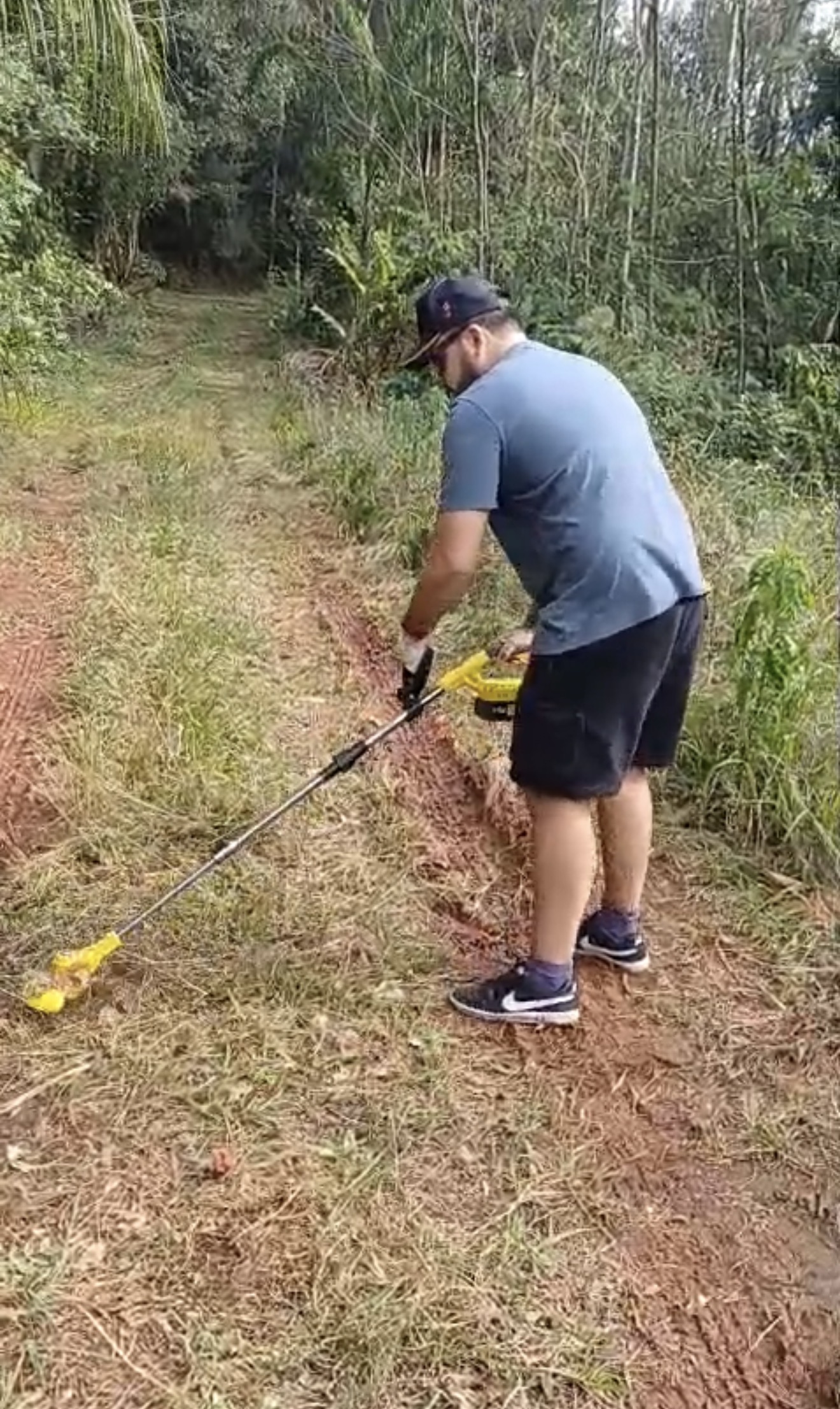 Ajudei a capinar e limpar o terreno do ancapstão